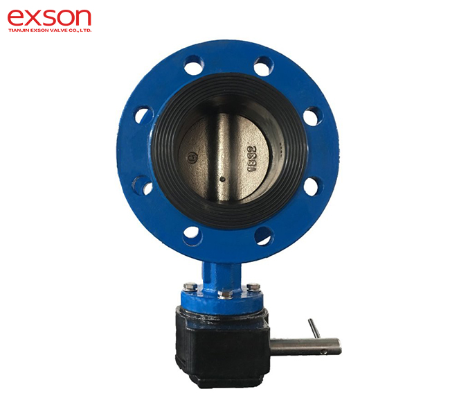 Flange Type Butterfly Valve
